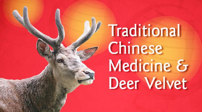 Chinese Medicine (TCM) and Deer Velvet